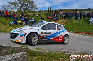 Rally Acropolis 2014 ERC  (20).jpg