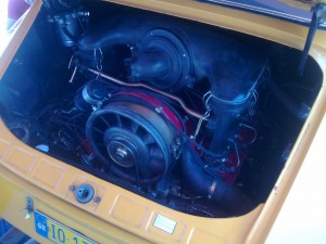 megara_june2011 (5).jpg