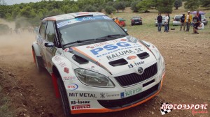 ERC Rally Acropolis 2015 (8).JPG