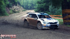 ERC Rally Acropolis 2015 (11).JPG