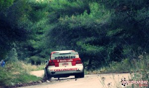 Rally_Palladio_2015 (5).JPG