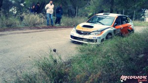 Rally_Palladio_2015 (7).JPG