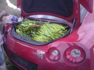 datsun_GTR.jpg