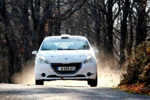 peugeot-208-r2-esse-2012_.jpg